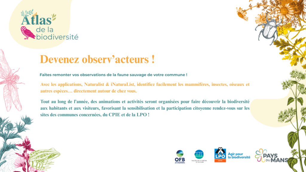 Encart BandeauBulletin Devenez observ'acteurs (1)